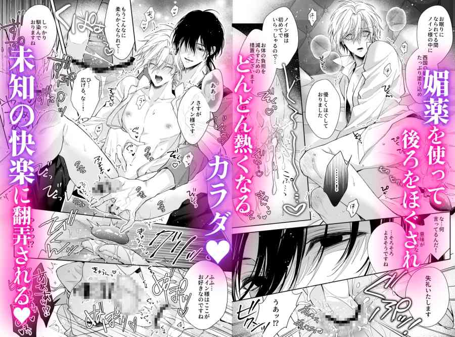 ご主人様の堕とし方～転生した悪役令息は溺愛騎士の執着から逃げられない～004